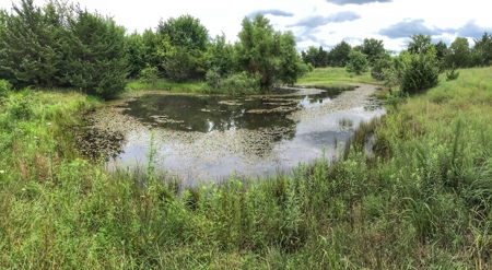 Investment Kansas Land • Mineral Income • Whitetail Hunting - image 15