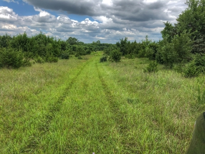 Investment Kansas Land • Mineral Income • Whitetail Hunting - image 11