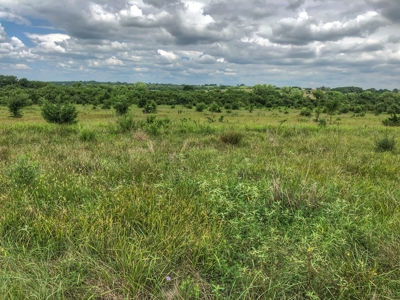 Investment Kansas Land • Mineral Income • Whitetail Hunting - image 2