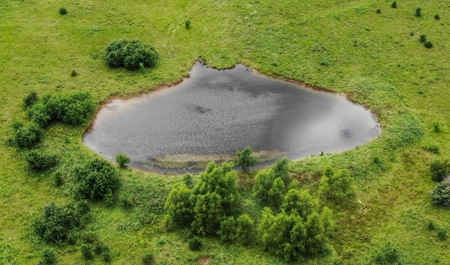 Investment Kansas Land • Mineral Income • Whitetail Hunting - image 14