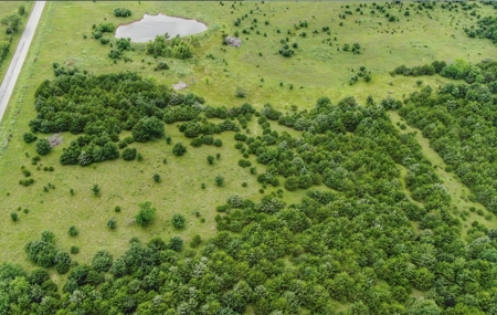 Investment Kansas Land • Mineral Income • Whitetail Hunting - image 9