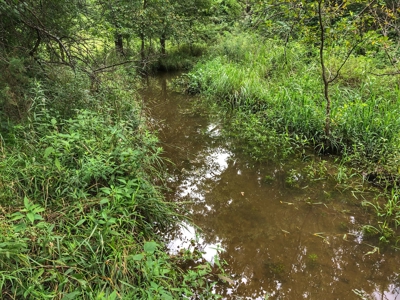 Investment Kansas Land • Mineral Income • Whitetail Hunting - image 12