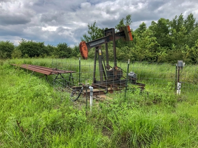 Investment Kansas Land • Mineral Income • Whitetail Hunting - image 19