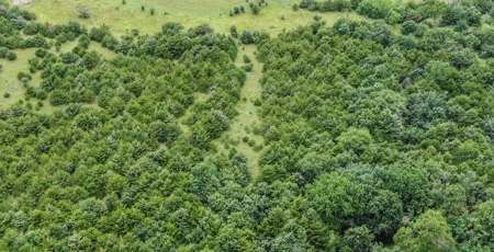 Investment Kansas Land • Mineral Income • Whitetail Hunting - image 13