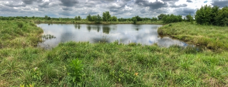 Investment Kansas Land • Mineral Income • Whitetail Hunting - image 4