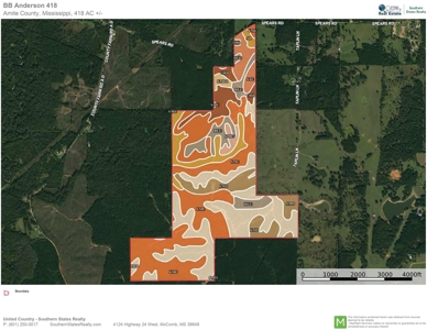418 Acres Hunting Timberland for Sale Amite County MS - image 13