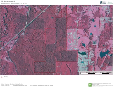 418 Acres Hunting Timberland for Sale Amite County MS - image 12