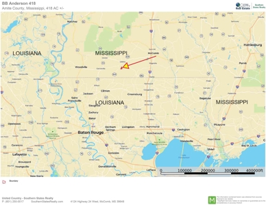 418 Acres Hunting Timberland for Sale Amite County MS - image 9
