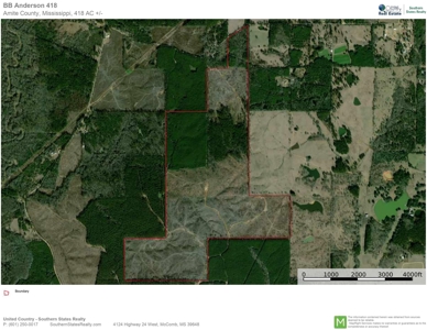418 Acres Hunting Timberland for Sale Amite County MS - image 10