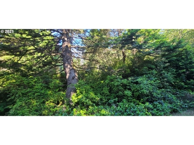 5.84 Acre Vacant Land For Sale On The Oregon Coast - image 6