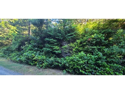 5.84 Acre Vacant Land For Sale On The Oregon Coast - image 2