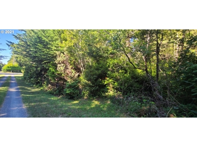 5.84 Acre Vacant Land For Sale On The Oregon Coast - image 1
