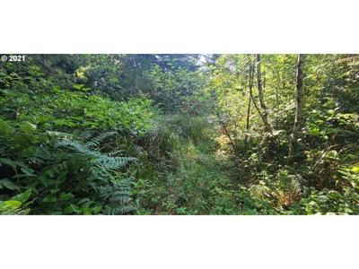 5.84 Acre Vacant Land For Sale On The Oregon Coast - image 15