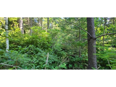 5.84 Acre Vacant Land For Sale On The Oregon Coast - image 14