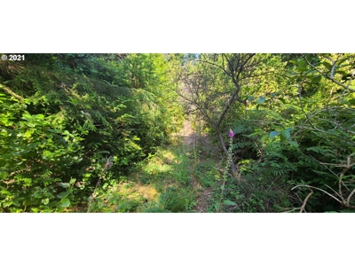 5.84 Acre Vacant Land For Sale On The Oregon Coast - image 12