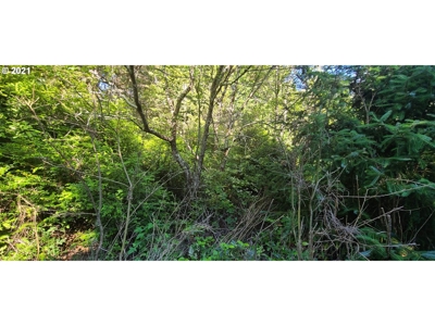5.84 Acre Vacant Land For Sale On The Oregon Coast - image 4