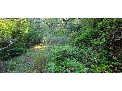 5.84 Acre Vacant Land For Sale On The Oregon Coast - image 7