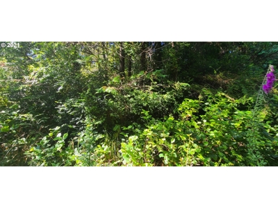 5.84 Acre Vacant Land For Sale On The Oregon Coast - image 13