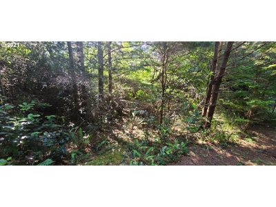 5.84 Acre Vacant Land For Sale On The Oregon Coast - image 11