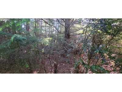 5.84 Acre Vacant Land For Sale On The Oregon Coast - image 9
