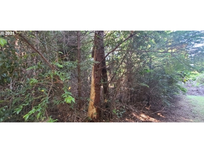 5.84 Acre Vacant Land For Sale On The Oregon Coast - image 10