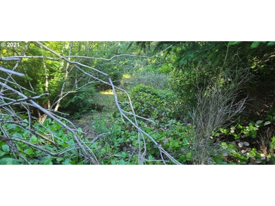 5.84 Acre Vacant Land For Sale On The Oregon Coast - image 3