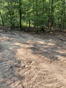 Large Tract of Land in the Ozark Mountains - image 28