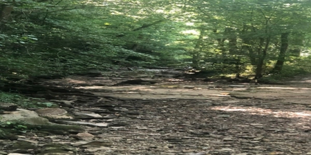 Large Tract of Land in the Ozark Mountains - image 26