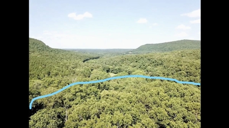 Large Tract of Land in the Ozark Mountains - image 15