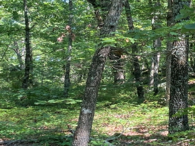 Large Tract of Land in the Ozark Mountains - image 2