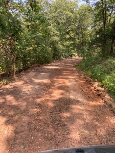 Large Tract of Land in the Ozark Mountains - image 29