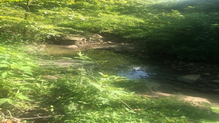 Large Tract of Land in the Ozark Mountains - image 23