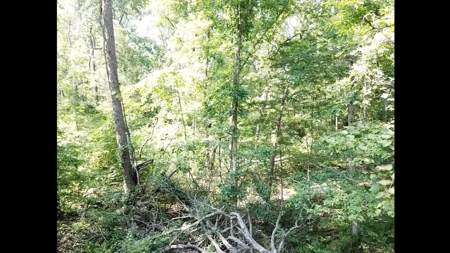 Large Tract of Land in the Ozark Mountains - image 12