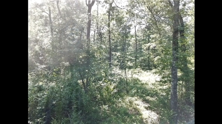 Large Tract of Land in the Ozark Mountains - image 13