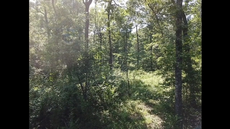 Large Tract of Land in the Ozark Mountains - image 14