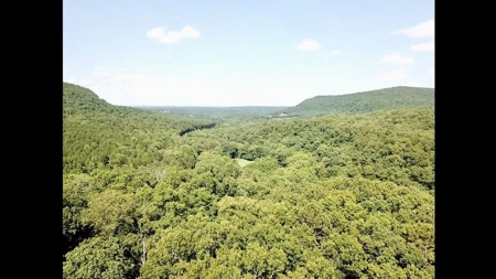 Large Tract of Land in the Ozark Mountains - image 9