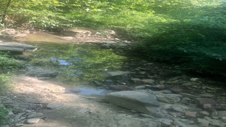 Large Tract of Land in the Ozark Mountains - image 22
