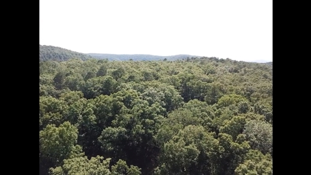 Large Tract of Land in the Ozark Mountains - image 11