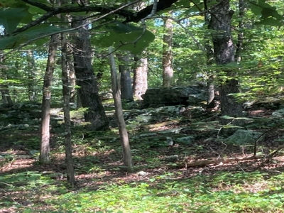 Large Tract of Land in the Ozark Mountains - image 1