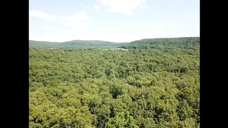 Large Tract of Land in the Ozark Mountains - image 10