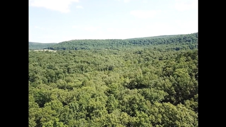 Large Tract of Land in the Ozark Mountains - image 8