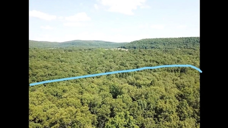 Large Tract of Land in the Ozark Mountains - image 16