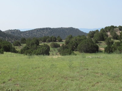 66 Acres Bordering BLM on County Road Canon City Colorado - image 15