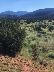 66 Acres Bordering BLM on County Road Canon City Colorado - image 7