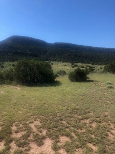 66 Acres Bordering BLM on County Road Canon City Colorado - image 11