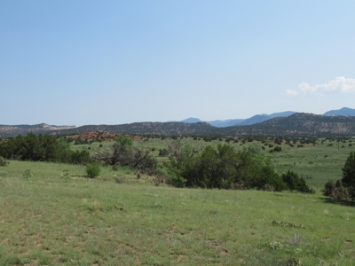 66 Acres Bordering BLM on County Road Canon City Colorado - image 18