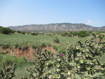 66 Acres Bordering BLM on County Road Canon City Colorado - image 23