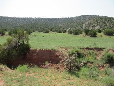 66 Acres Bordering BLM on County Road Canon City Colorado - image 27