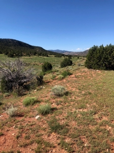 66 Acres Bordering BLM on County Road Canon City Colorado - image 9