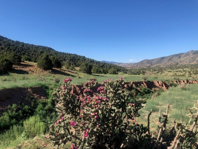 66 Acres Bordering BLM on County Road Canon City Colorado - image 1